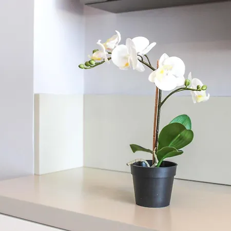 Apartamento Botanic 522 *